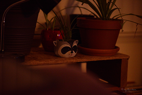 Photo Testing
